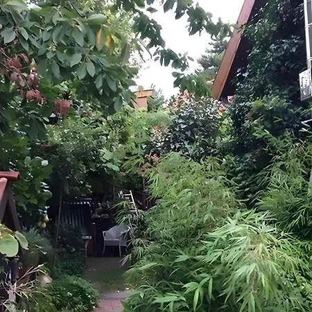 公寓 Gemuetliches Refugium Im Klosterdorf 鲁本贝尔的诺伊施塔特